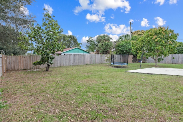 view of yard with a trampoline and a patio area