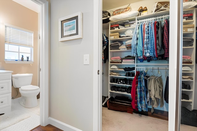 view of closet