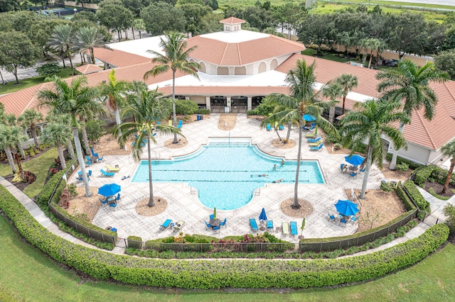 view of pool featuring a patio