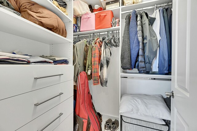 view of spacious closet