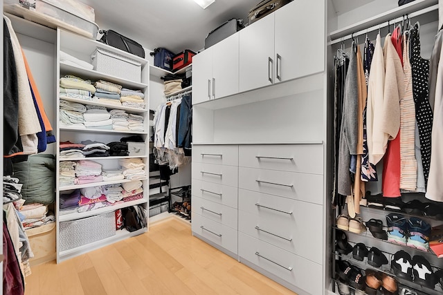 spacious closet featuring light hardwood / wood-style flooring