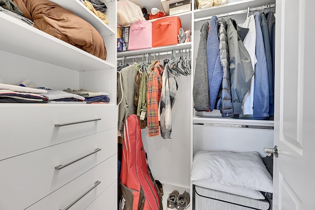 view of spacious closet