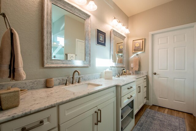 bathroom with wood-type flooring and vanity