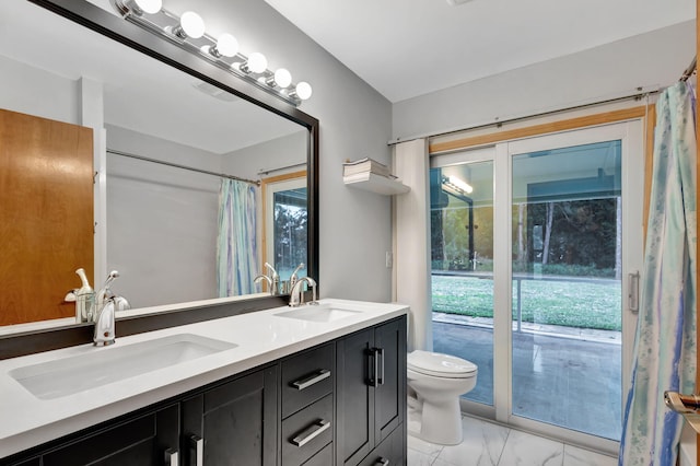 bathroom with toilet, vanity, and a wealth of natural light