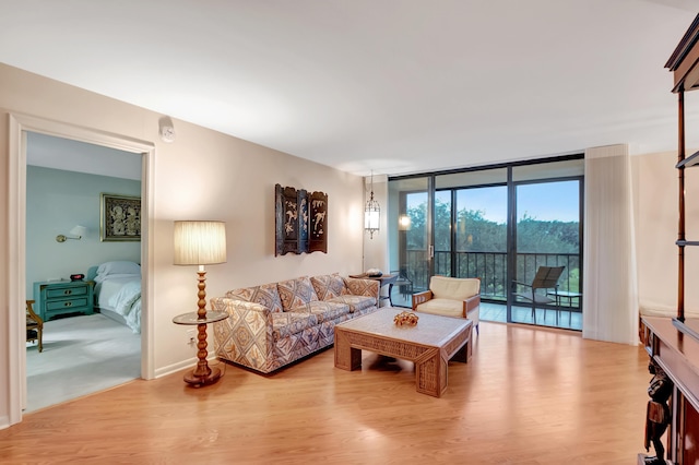 living room with expansive windows and light hardwood / wood-style flooring