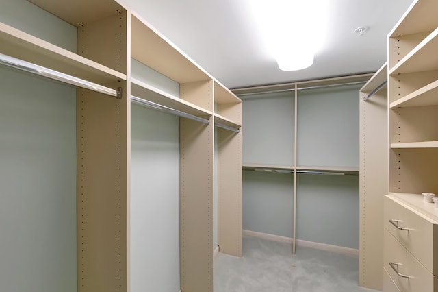 walk in closet with carpet floors