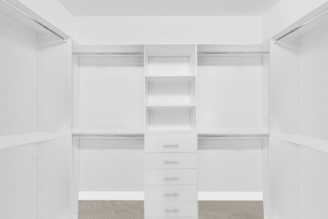 spacious closet featuring light carpet