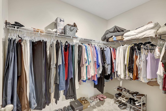 walk in closet featuring carpet floors