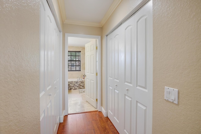 hall featuring hardwood / wood-style floors and ornamental molding