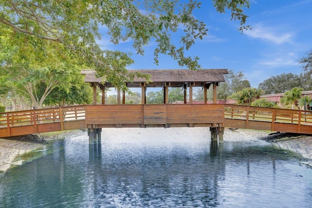 dock area with a water view