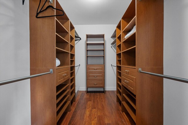 bedroom with ceiling fan, dark hardwood / wood-style floors, a spacious closet, ornamental molding, and a closet