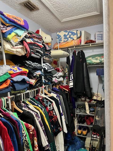 spacious closet with visible vents