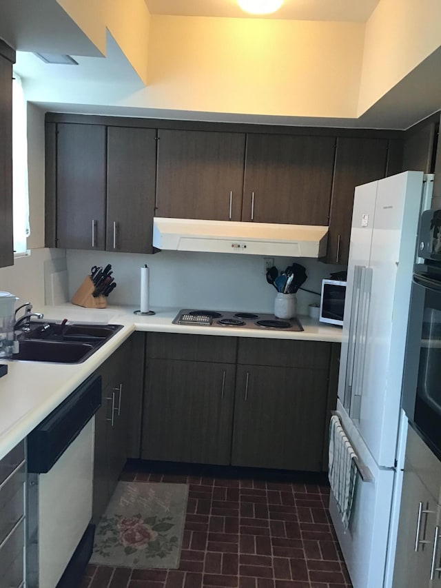 kitchen with dark brown cabinets, stainless steel dishwasher, sink, white refrigerator, and cooktop