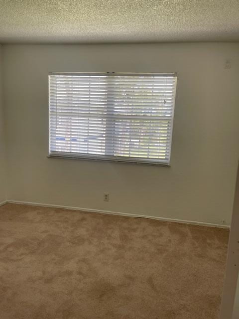 unfurnished room featuring a textured ceiling and carpet