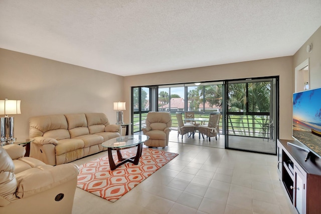 living room with a textured ceiling