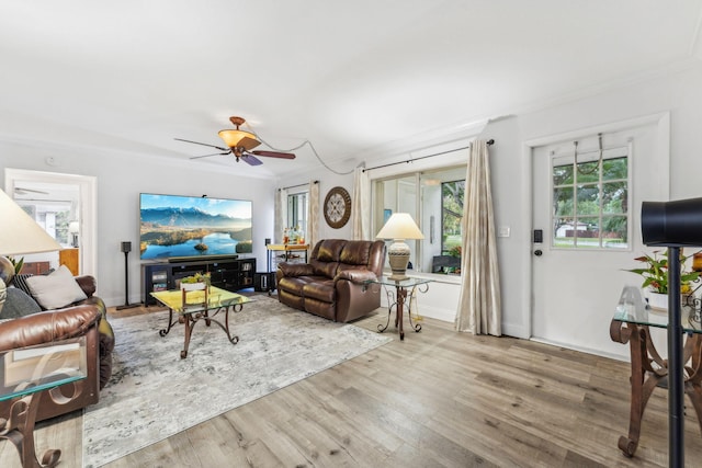 living room with wood-type flooring, ceiling fan, and crown molding