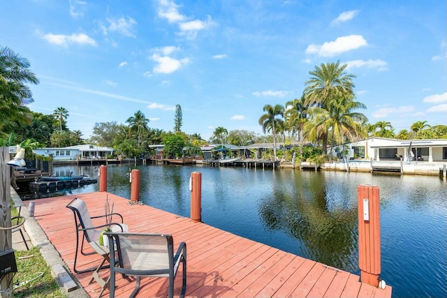 dock area with a water view