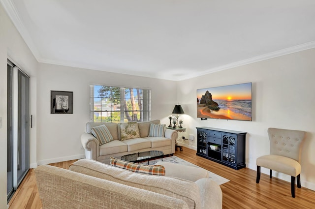 living room with ornamental molding and light hardwood / wood-style flooring