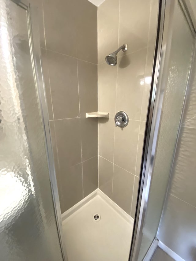 bathroom featuring a shower with shower door