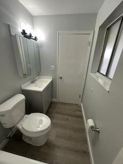 bathroom with toilet and vanity