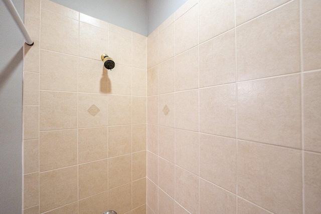 interior details featuring tiled shower