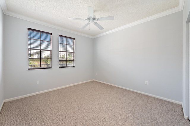 empty room with carpet, ceiling fan, and a textured ceiling