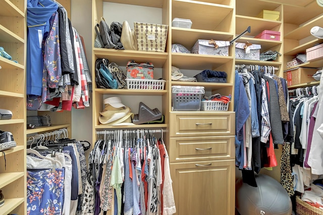 view of spacious closet