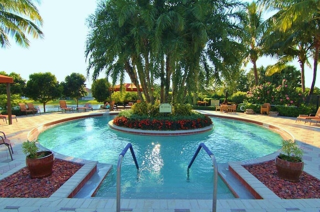 view of swimming pool with a patio