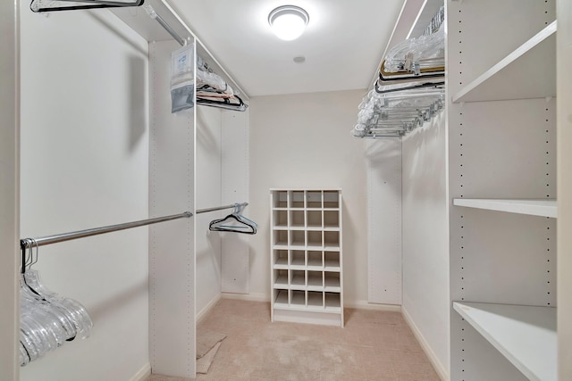 spacious closet with light carpet