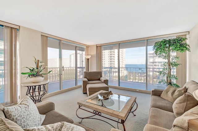 carpeted living room featuring a wall of windows