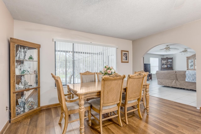 dining space with light hardwood / wood-style floors, a textured ceiling, and ceiling fan