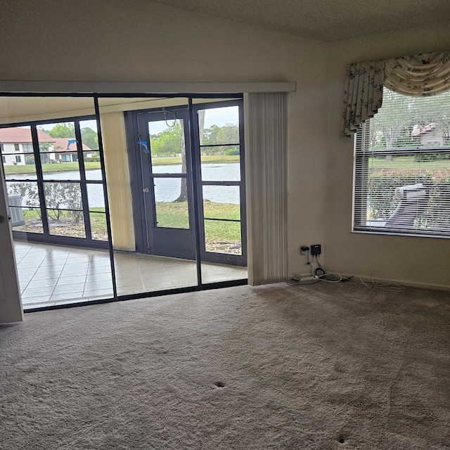 spare room with light colored carpet