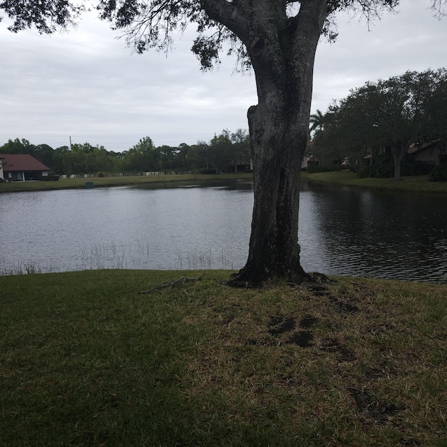 view of water feature