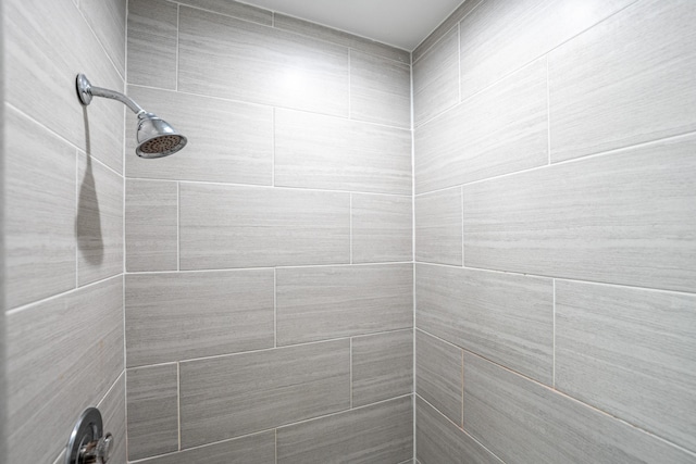 room details with tiled shower