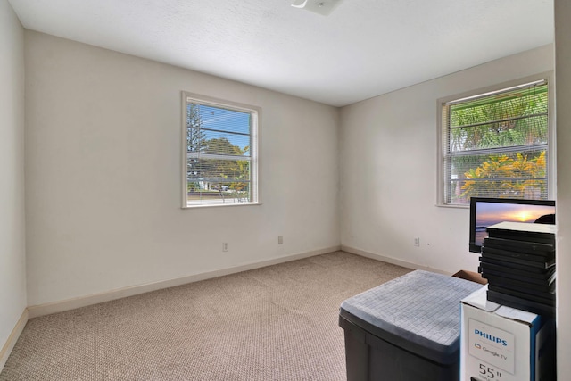 interior space with a wealth of natural light