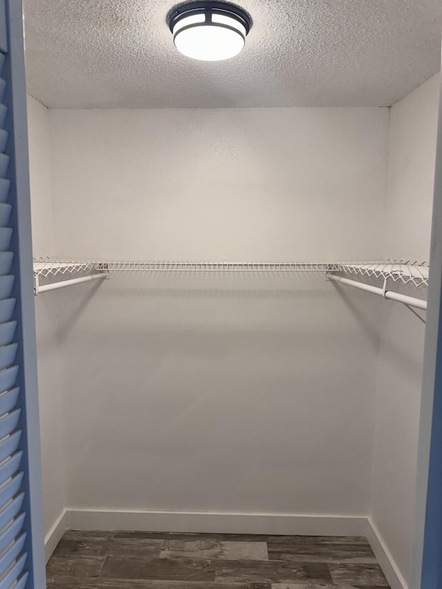 spacious closet featuring dark hardwood / wood-style flooring