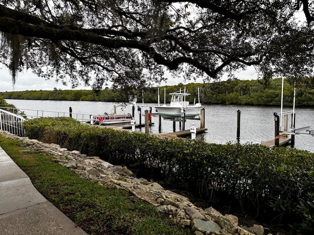 view of dock with a water view and boat lift