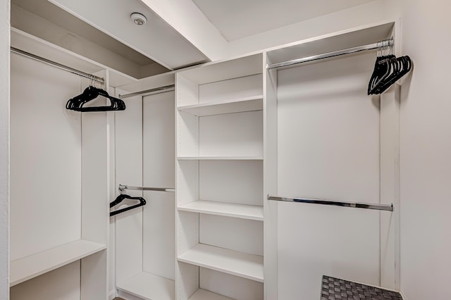 view of walk in closet