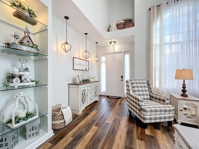 sitting room featuring dark hardwood / wood-style flooring