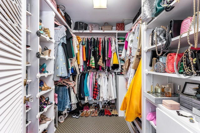 spacious closet with carpet floors