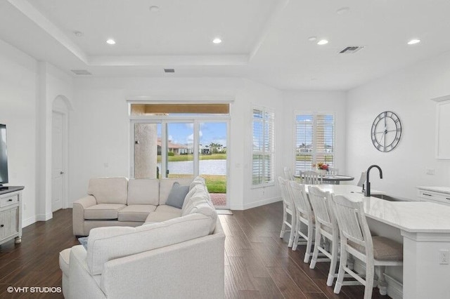 living room featuring a raised ceiling, dark hardwood / wood-style floors, and sink