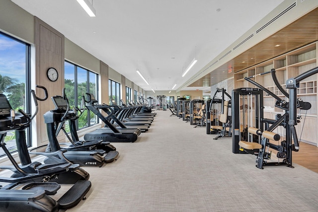 workout area featuring light carpet