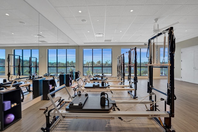 workout area with light hardwood / wood-style floors and a paneled ceiling