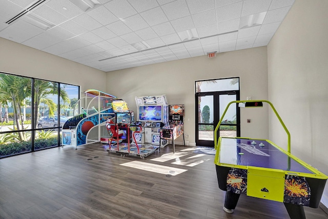 rec room featuring wood-type flooring and french doors