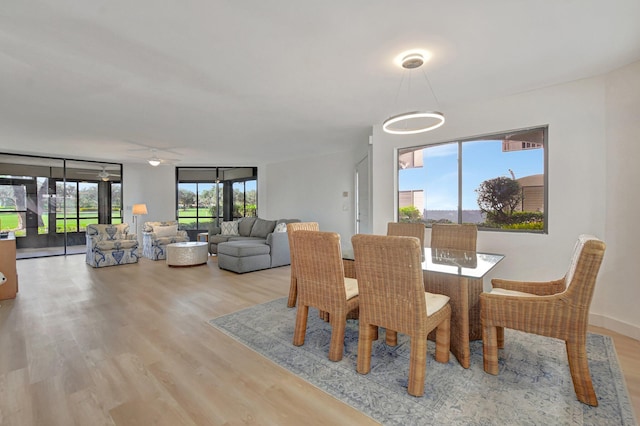 dining space with expansive windows and light hardwood / wood-style flooring