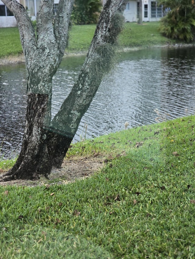 view of water feature