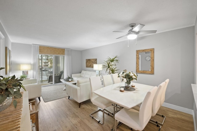 dining room with ceiling fan and light wood-type flooring