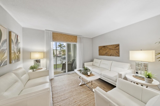 living room with hardwood / wood-style flooring