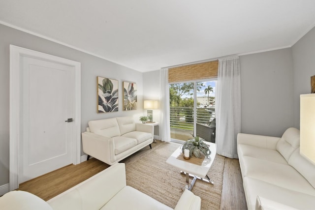 living room featuring hardwood / wood-style flooring