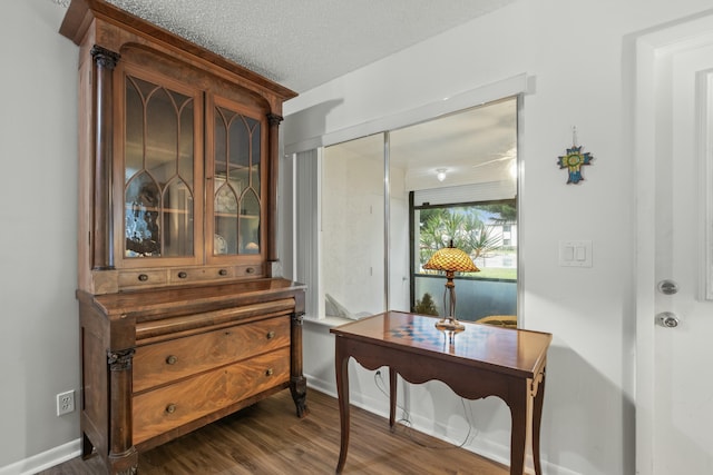 interior space with dark hardwood / wood-style floors and a textured ceiling